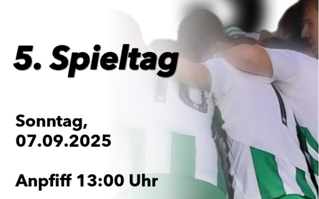 Quo Vadis, TSV? – Grün-Weiß meldet sich eindrucksvoll zurück