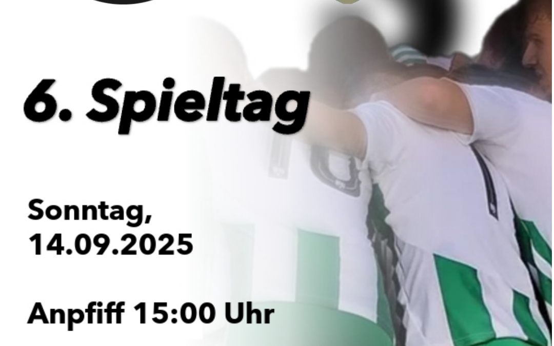 Aufwärtstrend bestätigt: TSV schlägt Schlingen und blickt nach vorne