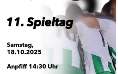 TSV vom Pech verfolgt – Kampfgeist macht Hoffnung